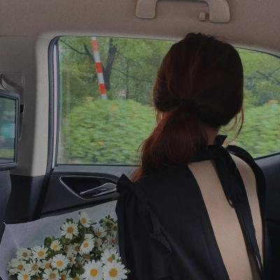 奇迹的山再见,名犬平治